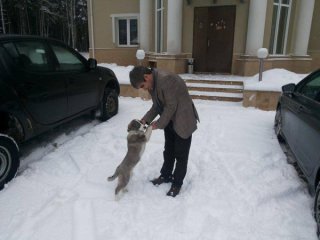 Главная фотография богатого любовника Вени