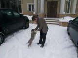 Спонсор Вени г. Москва