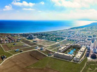 Главная фотография богатого любовника Лим