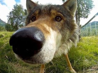 Главная фотография богатого любовника Юрка