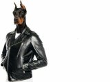 Спонсор Doberman г. Москва