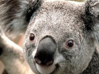 Главная фотография богатого любовника Михаил