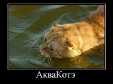 Спонсор Сергей г. Москва