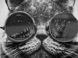 Главная фотография богатого любовника Антон