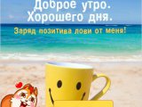 Спонсор Yason г. Москва