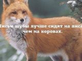 Спонсор Ал г. Москва
