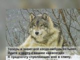 Спонсор Арслан г. Москва