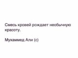Спонсор Zaurik г. Москва
